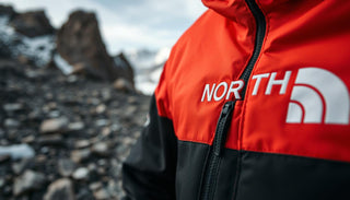 Why Is North Face Jacket So Expensive: Price Analysis - Urban Londonn Ltd